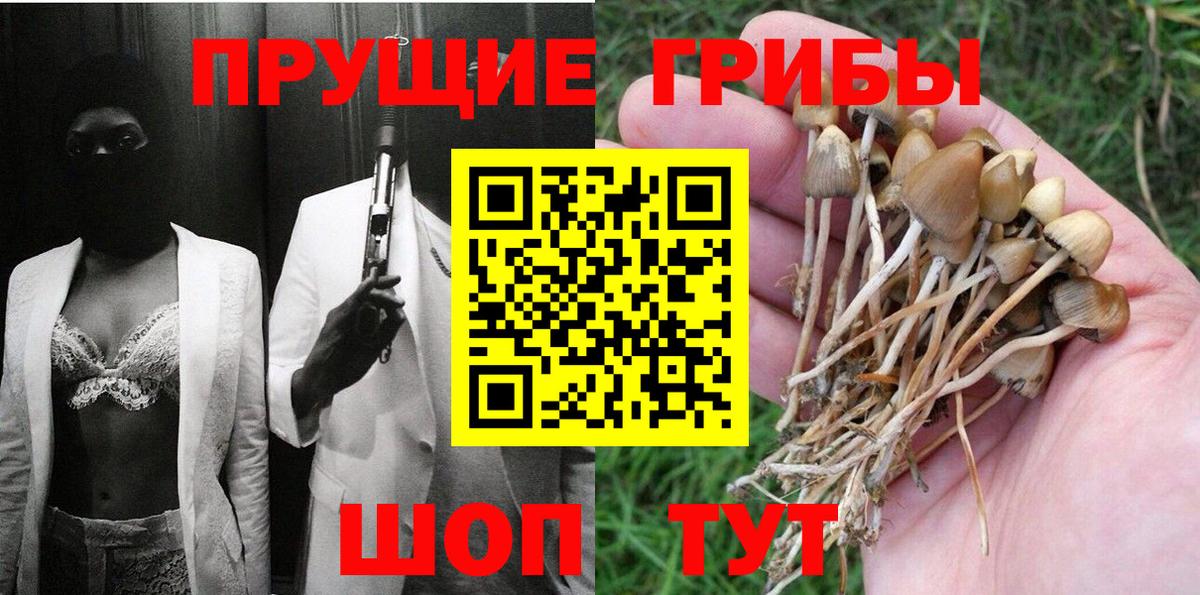 Галлюциногенные грибы Cubensis Россия