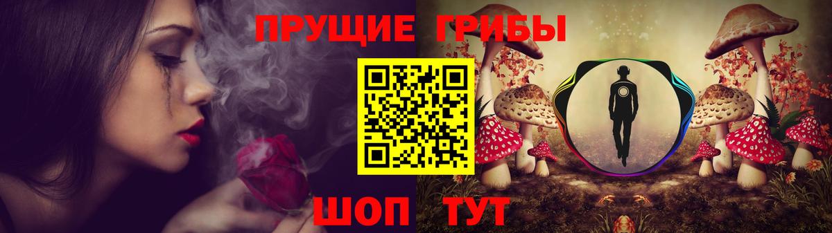 хочу   Галлюциногенные грибы прущие грибы  Вход с VPN  Россия 